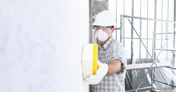 Best Mold Prevention Services  in Port Washington, NY